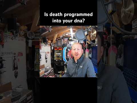 Is death built in to dna?
