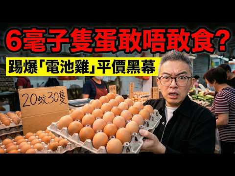 20蚊30隻係「激素蛋」?平價蛋攞嚟做流心,沙門氏菌」隨時攞命!拆解包裝「雞蛋密碼」!教你1秒測試雞蛋新唔新鮮