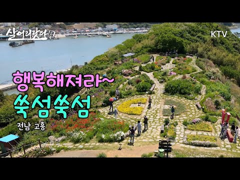 (전남 고흥) 배타고 들어가야 만나는 섬위의 꽃정원, 20년간 교사&약사 부부의 정원!!행복해져라~ 쑥섬 쑥섬  ktv, koreatv, island, garden (시즌4)
