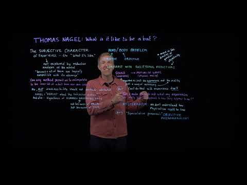 Thomas Nagel: "What is it like to be a bat?"