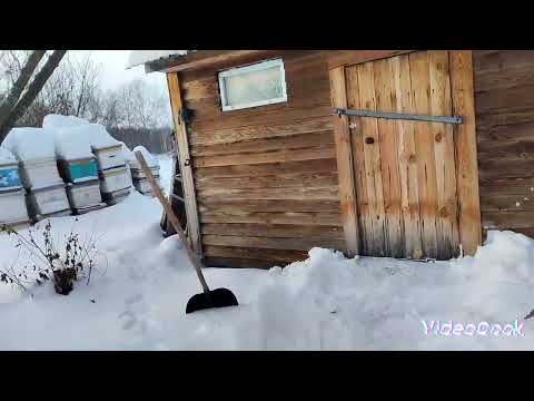 Пасеки больше нет!!! 12.12.2025 г.