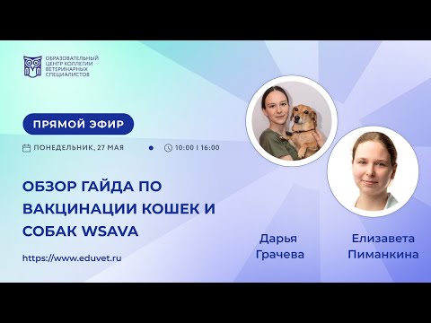 WSAVA's Vaccination Guide for Cats and Dogs Review — Daria Gracheva