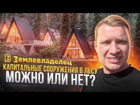 Земли лесного фонда для рекреации. Можно ли строить капитальные сооружения в лесу для глэмпинга?