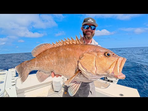 Commercial Deep Dropping | They All Add Up | Profit Break Down