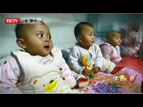 新生三胞胎全部患癌，主治医生第一次见，妈妈一人苦苦支撑，深夜崩溃落泪【生命缘之生命的礼物第一季】