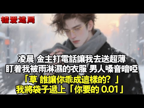 凌晨，金主打電話要我去送超薄。盯著我被雨淋濕的衣服，男人嗓音暗啞。「草，誰讓你乖成這樣的？」我將袋子遞上「你要的 0.01」#小說 #情感 #追妻火葬场
