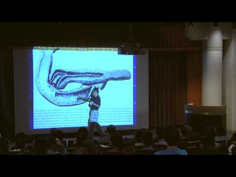 外科醫學的誕生｜王道還｜探索講座〖現代醫學的興起〗