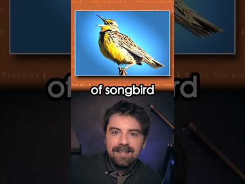 Why Peeta Mellark's Last Name Is Mellark