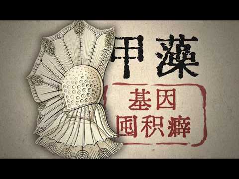 【鬼谷闲谈】甲藻：什么都往DNA里刻会发生什么？