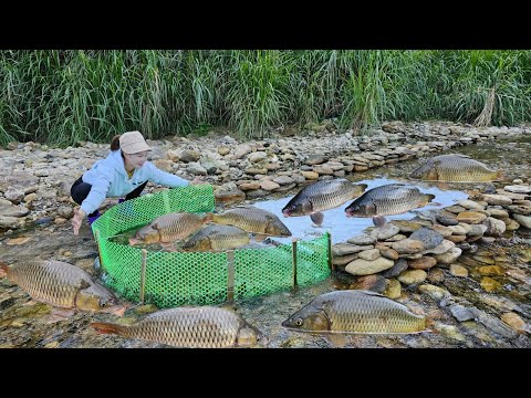 Ana made a fish trap using the traditional method. Luckily, she caught a lot of big fish sold them.