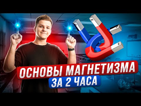 🧲 Магнетизм: магнитное поле и электромагнитная индукция с нуля | Физика ЕГЭ 2024 | Умскул