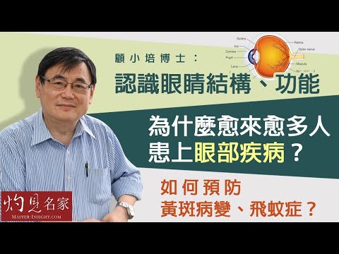 【字幕】顧小培博士：認識眼睛結構、功能為什麼愈來愈多人患上眼部疾病？如何預防黃斑病變、飛蚊症   眼睛健康上集《預防勝於治療》（2023-08-07）