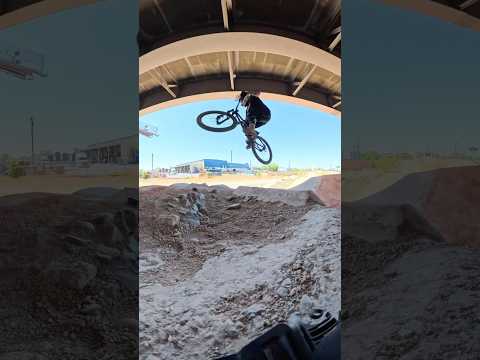 This summer has been a fun one!