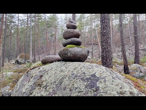 Mushroom picking in Ladoga in December!