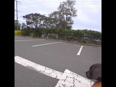 The latest edition to our family