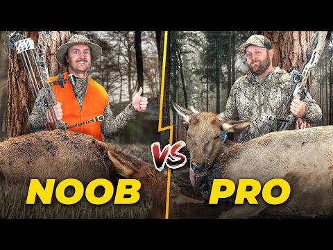 2 Beginners VS 1 Expert Archery Hunting Challenge! (Elk)