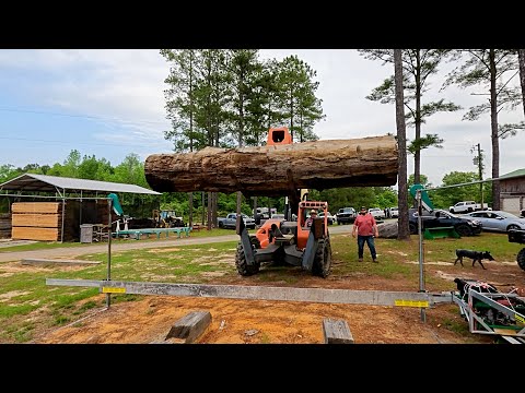 Epic 30ft Long Monster Cypress and Oak Log! Freehand Sawing