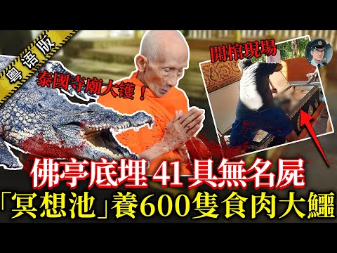 泰寺大镬！佛亭埋41具遺體，冥想池养600只大鳄，黑暗交易背後仲有高官撑场？【鐘sir講案】泰國案件 案件解說 案件調查
