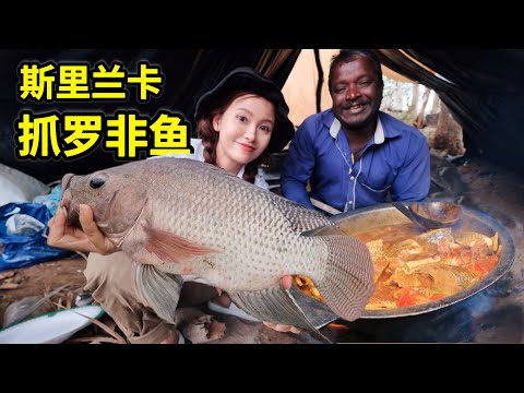 Sri Lanka tilapia fishing, diving and fishing with just a net, making spicy fish curry!