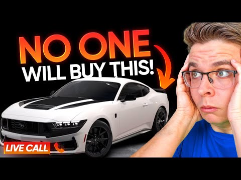WILD Negotiation For A MUSTANG DARK HORSE!!!