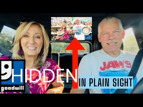 SCORE! we found the HOLY GRAIL of dishes! Best Goodwill Thrift FIND of the YEAR!