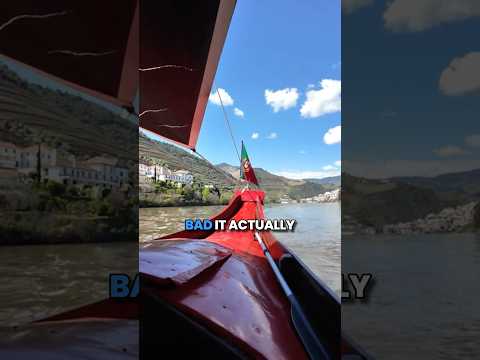 Portugal is a mess! 🥵 #expatlife #expat #portugal #lisbon