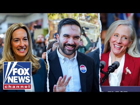 ‘Shutdown, shutdown, shutdown’: Pollster points to one factor in election results