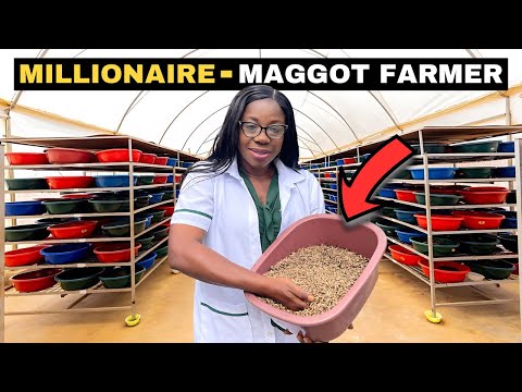 She Built a Farm That Produces Maggots Which Generate Millions