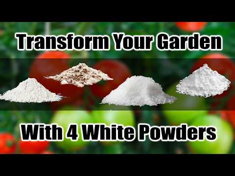 4 White Powders to Transform Your Tomatoes & Peppers