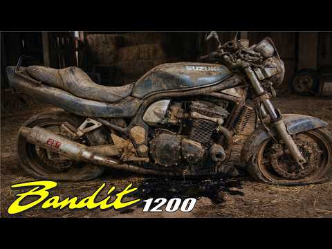 Rescuing an Old Muscle Bike