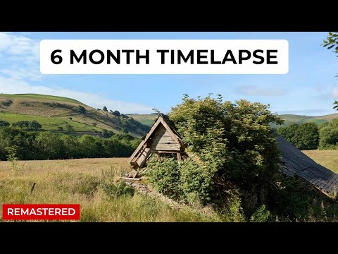 6 Months Off-Grid: Everything We’ve Done So Far [Remastered]