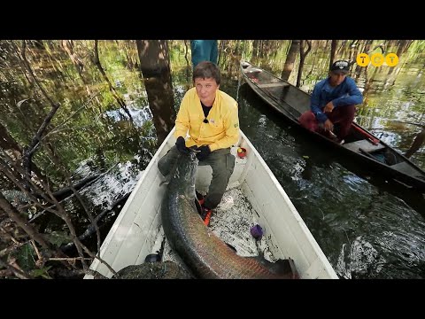 Екстремальна риболовля та містична смерть на Амазонці. Бразилія. Світ навиворіт 10 сезон 13 випуск