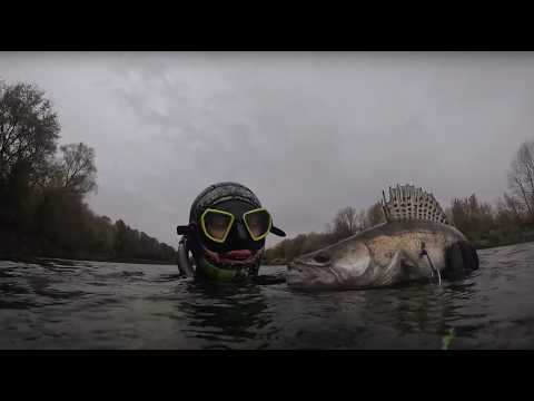 Исследуем завалы и коряги на ОКЕ в октябре! Подводная охота на СУДАКА!