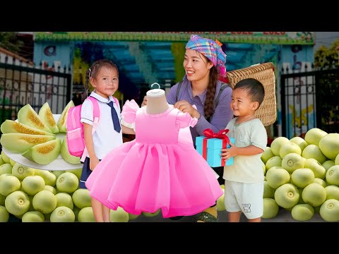 Nhi Prepares for School: Harvesting a 200kg Giant Melon and Selling It to Buy Her Supplies