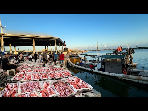 廣東 惠來 神泉漁港 海鮮批發市場 葵東市場 隆江豬脚飯 鹵水鵝肉飯 綠豆餅 腸粉 米粿 薯粉粿 美食探索 傳統小吃 三眼蟹 Seafood Market StreetFood Citywalk