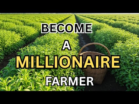 6 High Profit Crops Turning Ordinary Farmers Into Millionaires