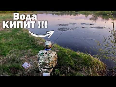 Ловля ЖЕРЕХА весной БЕЗ ОПЫТА ( Начинающий ). Спиннинг ВЕСНОЙ. Рыбалка. Часть 2