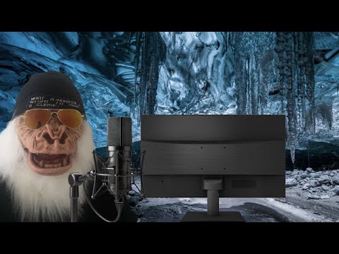 Top Five Some Nobody Videos Of 2025