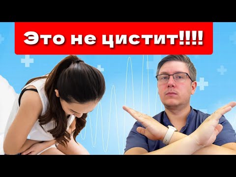 ЭТО НЕ ЦИСТИТ!!!! Частое заблуждение и ошибки в лечении!!!