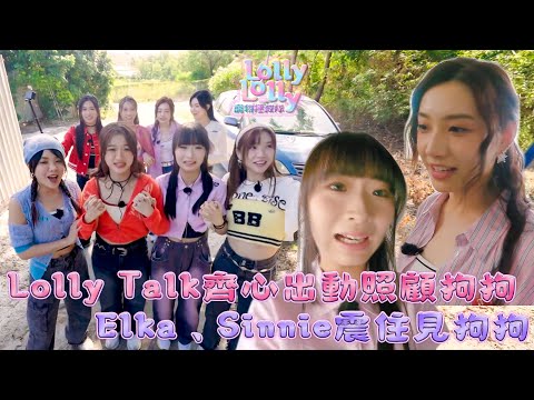 Lolly Talk齊心出動照顧狗狗  Elka、Sinnie震住見狗狗｜ Lolly Lolly寵物拯救隊 ｜EP1｜ Lolly Talk ｜ 寵物 ｜ HOY TV