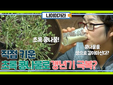 콩나물을 생으로 갈아 마신다? 직접 키운 콩나물로 갱년기 극복!