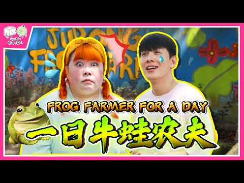 挑战当一日牛蛙农夫！一次过跟20,000青蛙相处？！We Work at a Frog Farm for a Day! 🐸
