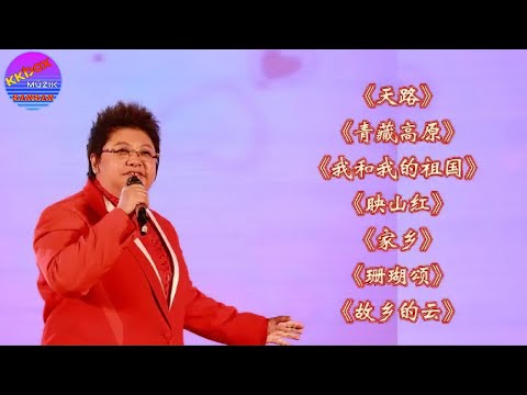 《天路》《青藏高原》《我和我的祖国》《映山红》《家乡》