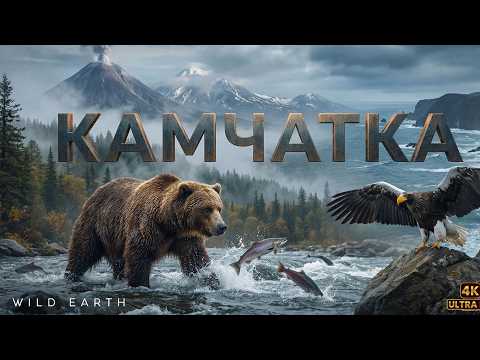 Дикая Камчатка. Империя Воды и Огня | WILD EARTH | Полный документальный фильм о дикой природе |