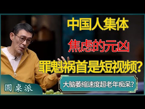 【圆桌派第八季最新】中国人集体焦虑的元凶，大脑萎缩速度超老年痴呆？罪魁祸首是短视频？#窦文涛 #梁文道 #马未都 #周轶君 #马家辉 #许子东 #圆桌派 #圆桌派第七季