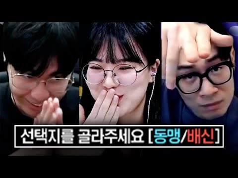 배신이 난무하는 다피스