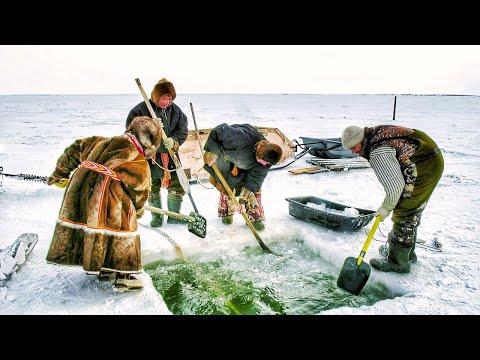 Fishing in the Kara Sea | Polar Stories