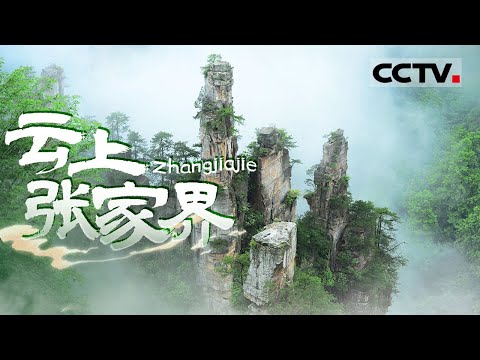 探索云上张家界的奇幻魅力 发现《阿凡达》背后的自然灵感与旅游体验揭秘！【CCTV纪录】