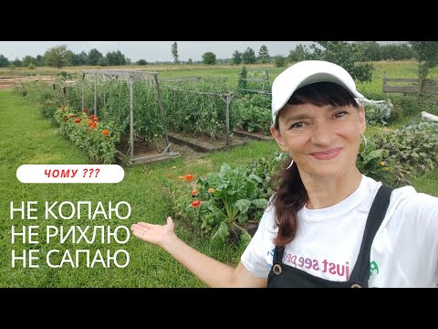 FORGOTTEN about the shovel and hoe! My "lazy" garden)))