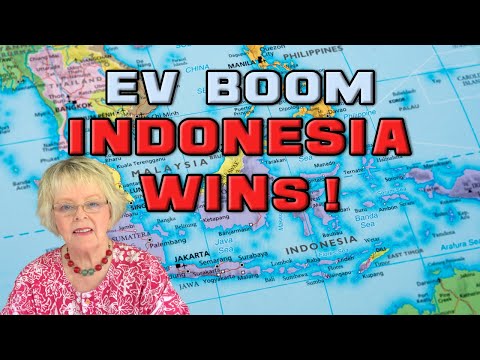 Why the World Is Investing in Indonesia's EV Industry!
